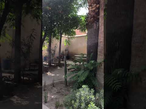 IMG 4922