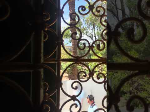 IMG 4790