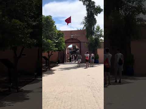 IMG 4928