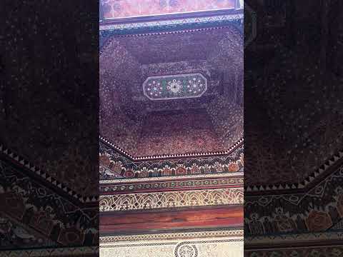 IMG 4914