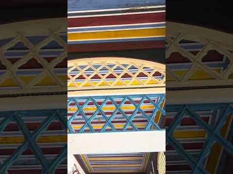 IMG 4767