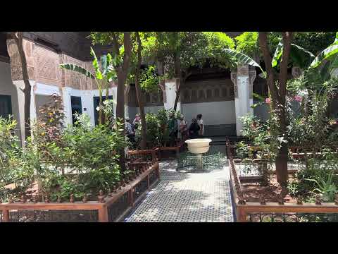 IMG 4665