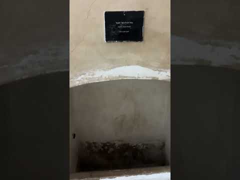 IMG 4756