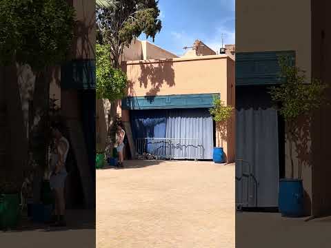 IMG 4919