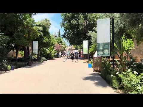 IMG 4638