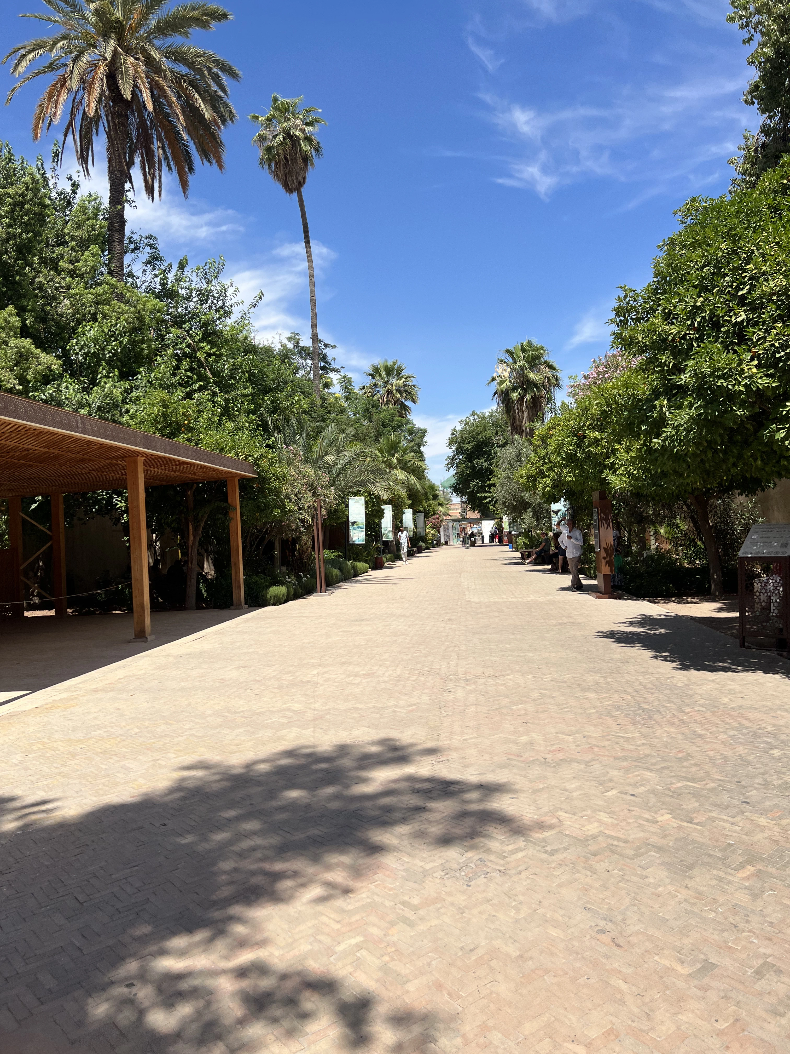 The palm-lined garden entrance path leading into Bahia Palace Marrakech,
    showing the approach visitors take before reaching the surrounding restaurants
    and cafés of the Kasbah neighbourhood